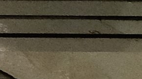 No habrá aumento del pasaje ni cortes de servicios previstos para el 2023.