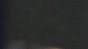 Ter Stegen elogia la nueva gestión de Xavi