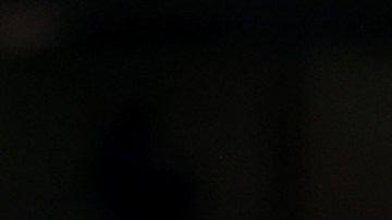 Equipo de la Premier League tuvo pérdidas millonarias