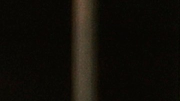 Hija de Dennis Rodman gana su primer título como futbolista profesional