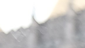 El Desfile de los Veteranos volvió a realizarse en NYC con la presencia de cientos de combatientes en las guerras que ha participado este país.