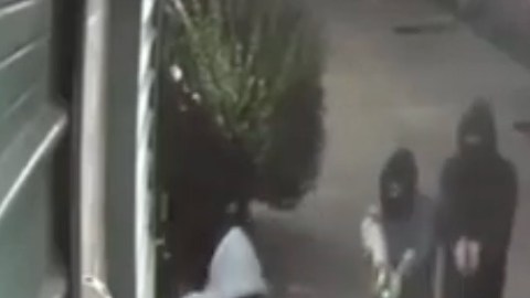 Video asalto fatal en el Bronx.