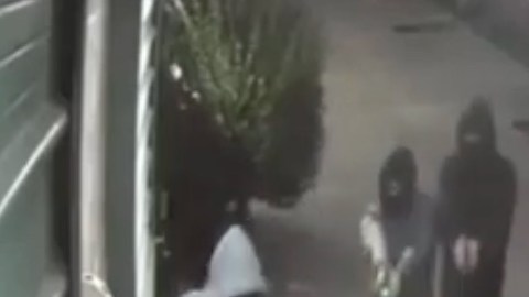 Video asalto fatal en el Bronx.