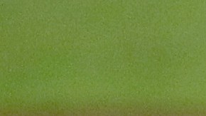 Yankees pierden a Zack Britton para el 2022