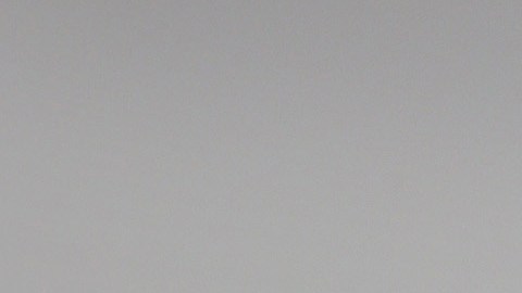 american-airlines-altercado