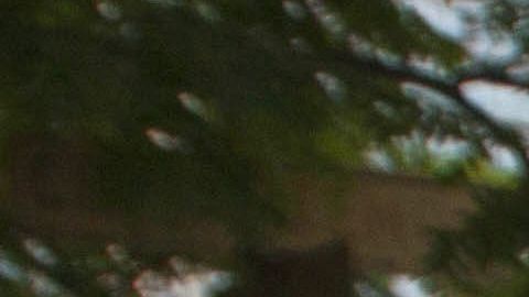 Asesinó a suegra en México.