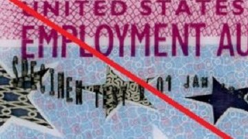 USCIS está tardando en enviar la Autorización de Empleo a inmigrantes.