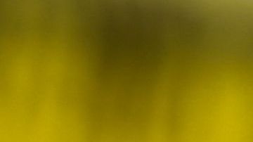 Muere joven por bala perdida en California.