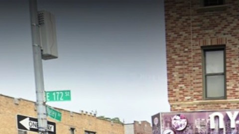 Lugar de la compra: 1683 East 172nd St, El Bronx, NYC.