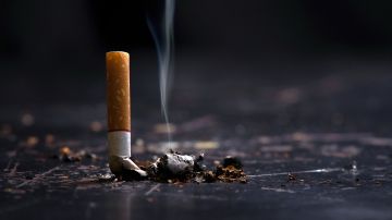Campaña mono China fumar