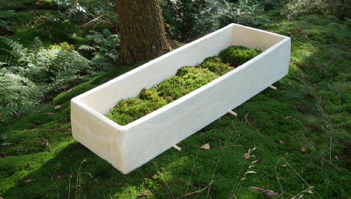 the-coffin-that-turns-your-corpse-into-compost-american-post