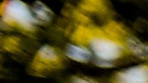 Las credenciales fueron quitadas a tres redactores, un fotógrafo y un camarógrafo de la agencia EFE.