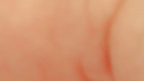 Mensaje de texto terminar matrimonio