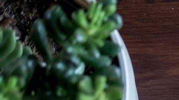 Diabetes: Qué puedo desayunar para evitar un subidón de azúcar