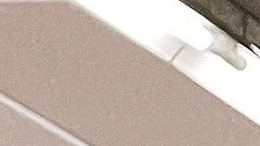 dollar-tree-precio-aumento