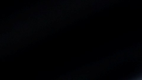 elon-musk-twitter