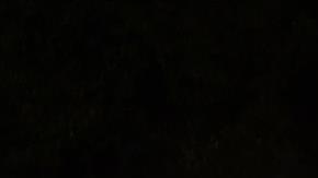 Al menos 8 muertos en el festival Astroworld del rapero Travis Scott.