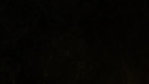 Al menos 8 muertos en el festival Astroworld del rapero Travis Scott.