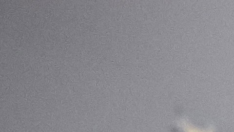 Novio falta boda viral