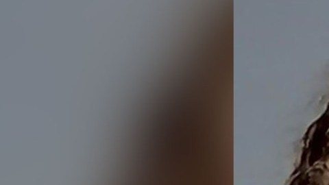 florida man arrested