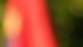 Joe Biden y Kamala Harris.