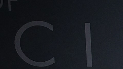 Lady Gaga House of Gucci