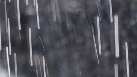 Lluvia viral