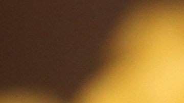 mcdonalds-mcplant-hamburguesa-vegana