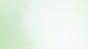 Modelo boda divorcio