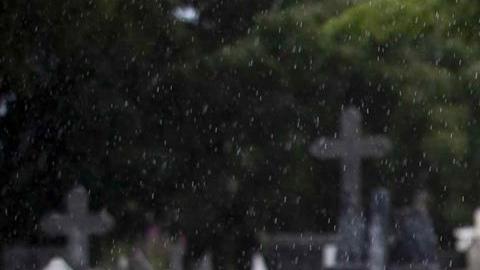 Muñeca cementerio viral