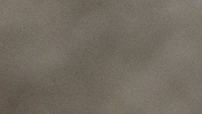 Nace bebé gorila en zoo de Cleveland