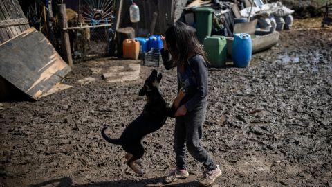 Niña juega con su perro.