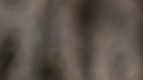 El raro “penny” que vale $2 millones de dólares, según expertos