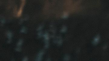 familia en estados unidos