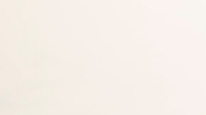 Asesinato de indígenas en México.