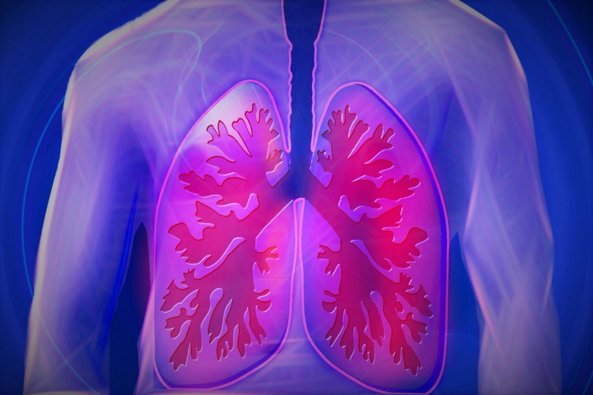 5-tips-para-limpiar-los-pulmones-el-diario-ny