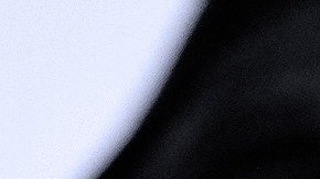 reembolos-beneficios-de-desempleo