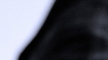 reembolos-beneficios-de-desempleo