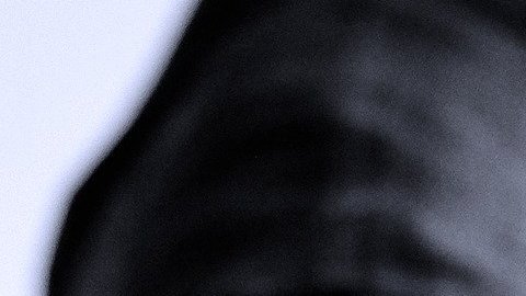 reembolos-beneficios-de-desempleo