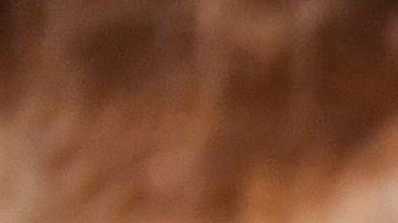 salt-bae-trabajo-chef