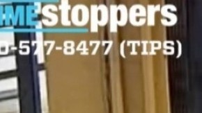 Sospechoso violacion Central Park