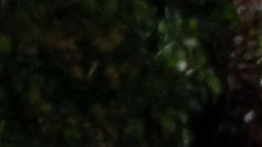 Vacunación en Costa Rica.