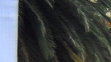 Violencia contra niñas y mujeres.