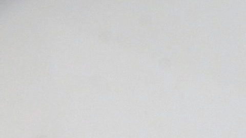 Gabriel Soto y Raúl "El Negro" Araiza cortan el listón de inauguración de la clínica de belleza Valentina Beauty.