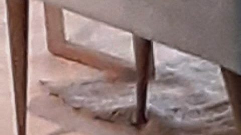 Mascarilla y vacuna: los tratamientos válidos anti-COVID.