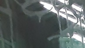 Cabina de NYPD en el Metro de Nueva York.