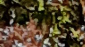 Staten Island, condado de NYC.