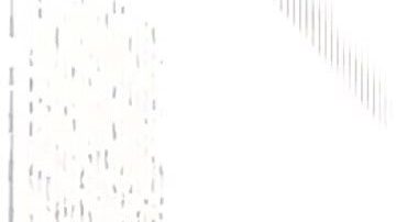 Árbol de Navidad del Rockefeller Center, 5ta Av, NYC.