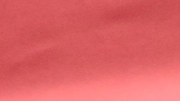 La aparición de la variante ómicron en NY genera nuevos temores y otras acciones preventivas.