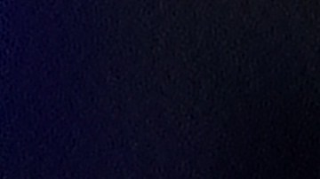 Espectáculo navideño del Brooklyn Botanic Garden, NYC